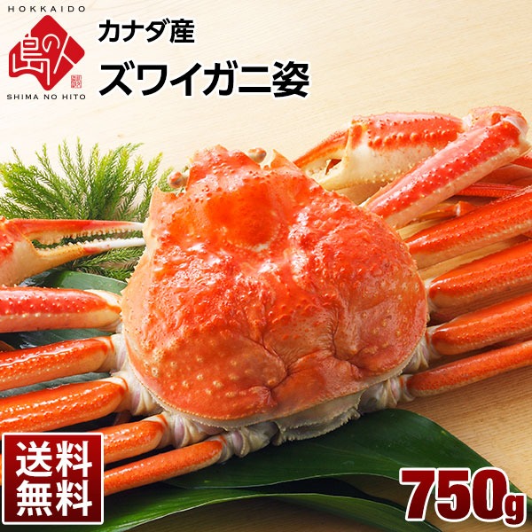 ロシア産 ズワイガニ 姿 750g
