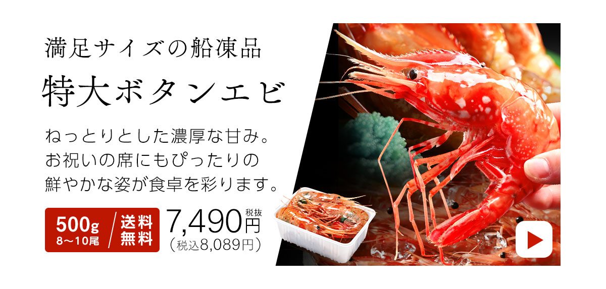 ボタンエビ特大