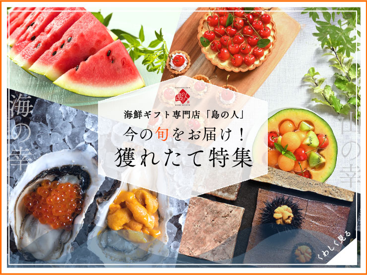 獲れたて特集